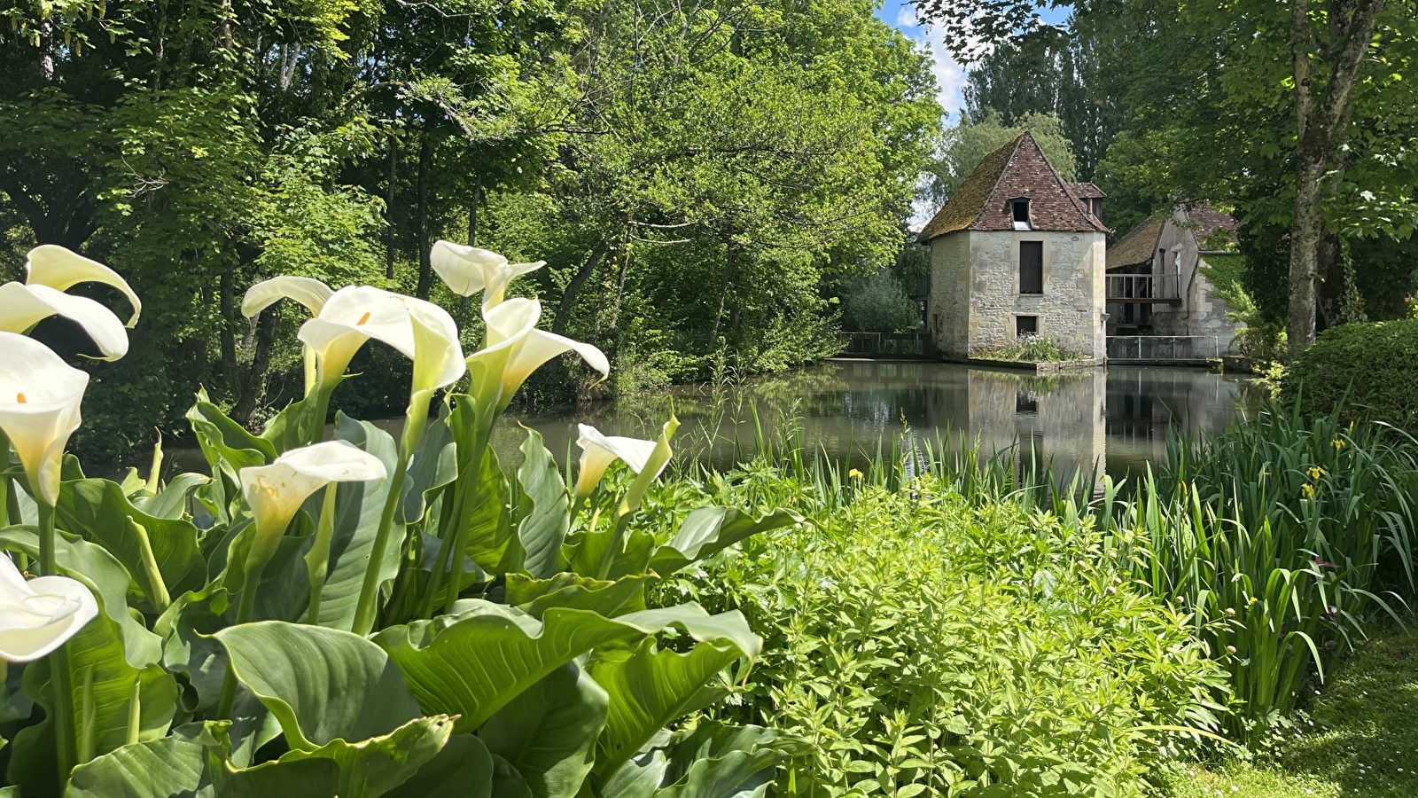 Le Moulin du Commandeur à Donzy (Nièvre), bâtiment de pierre au bord du Nohain, reflété dans l'eau et entouré de verdure et d'arums blancs